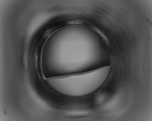 X0000096651151200802050928