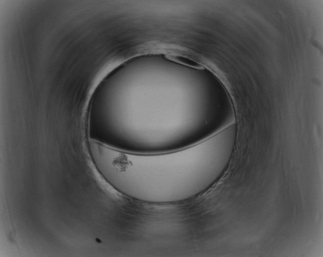 X0000096651152200802050928