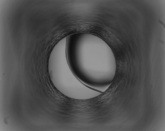 X0000096651153200802050927