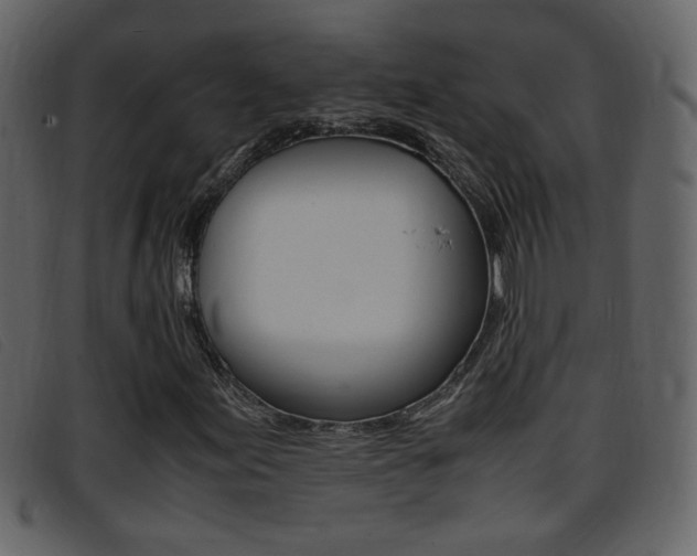 X0000096651155200802050927