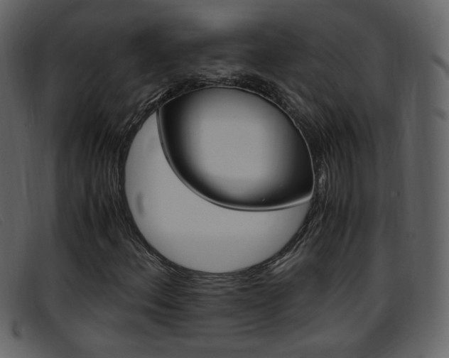 X0000096651156200802050927