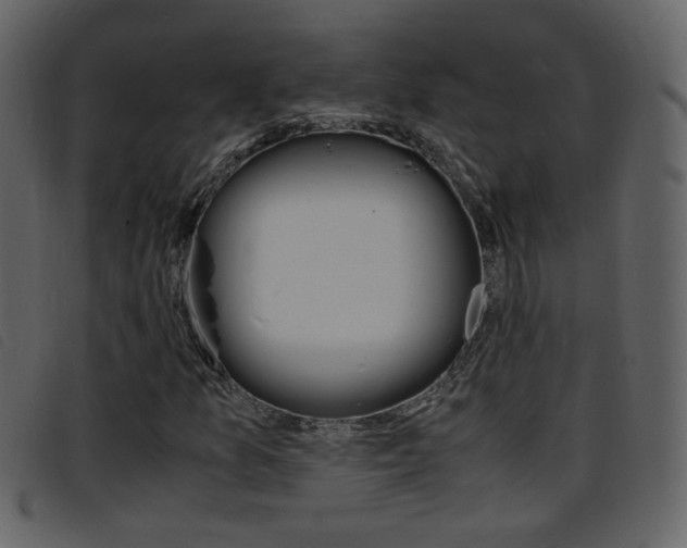 X0000096651157200802050927