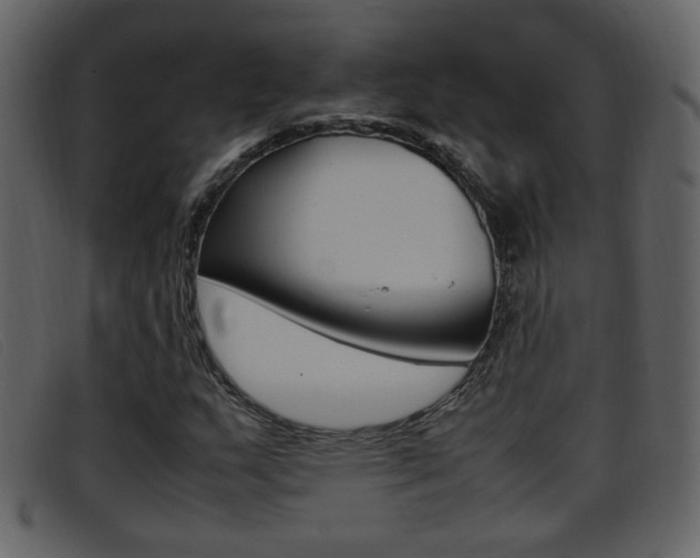 X0000096651159200802050927