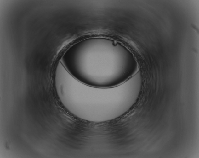 X0000096651160200802050927