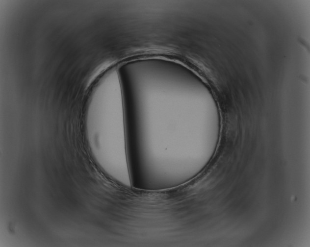 X0000096651163200802050927