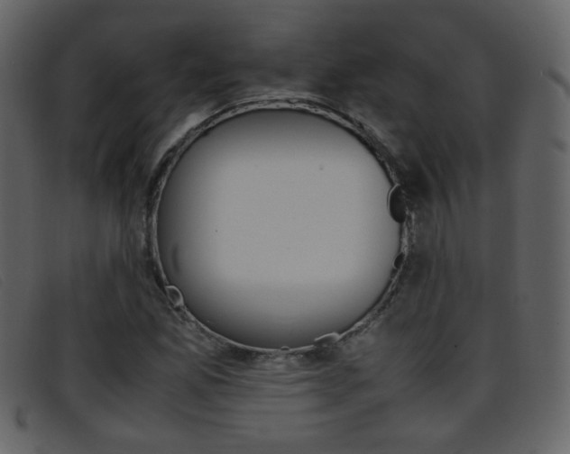 X0000096651165200802050927