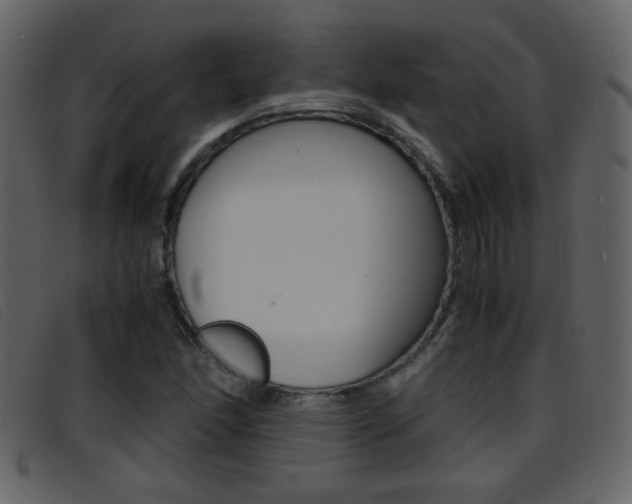 X0000096651166200802050927
