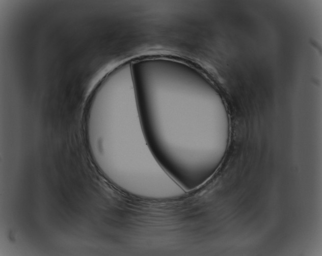 X0000096651167200802050927