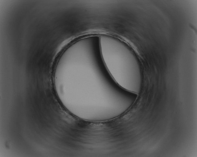 X0000096651168200802050927