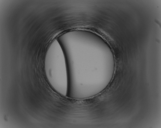 X0000096651169200802050927