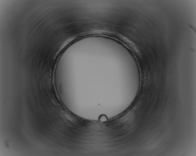 X0000096651170200802050927
