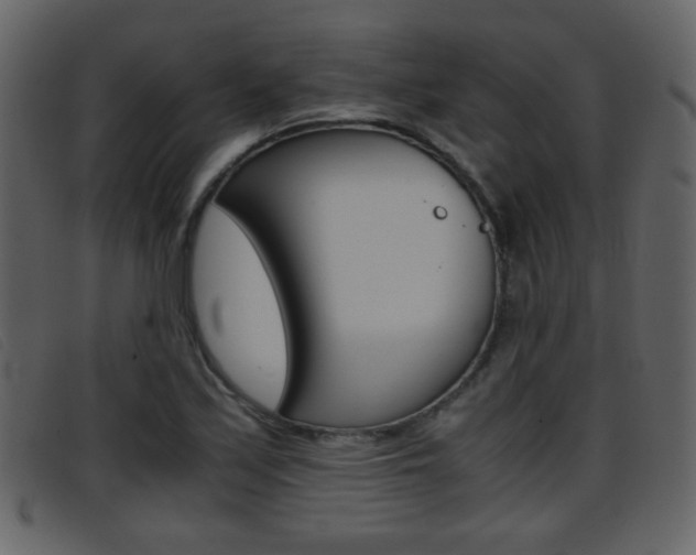 X0000096651171200802050927