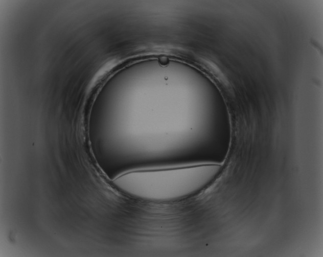 X0000096651172200802050927