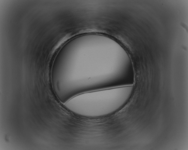 X0000096651173200802050927