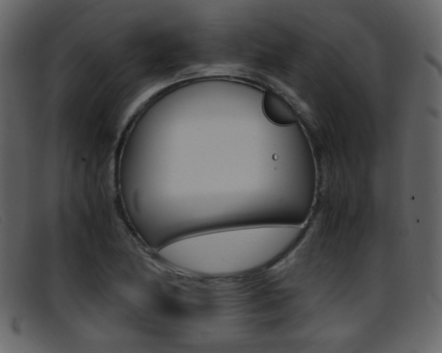X0000096651174200802050927