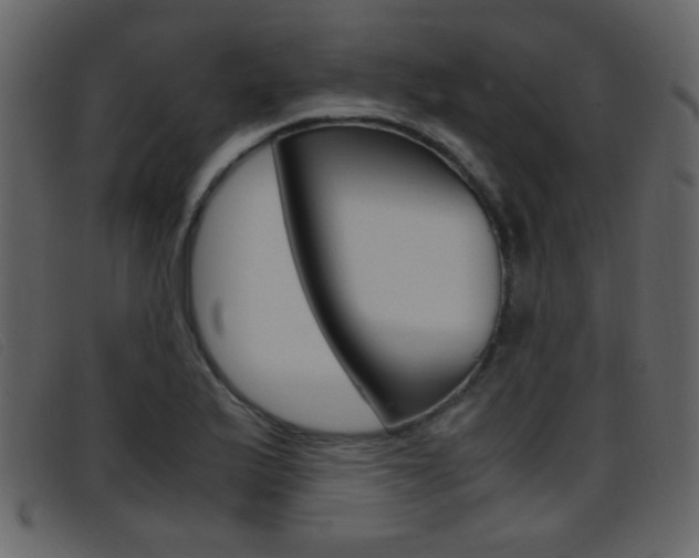 X0000096651175200802050927