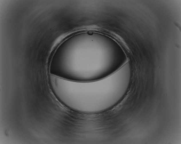 X0000096651176200802050927