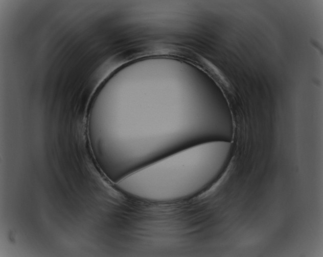 X0000096651178200802050927