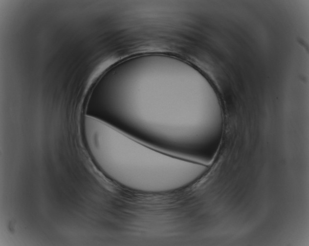 X0000096651179200802050927