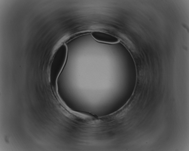 X0000096651180200802050927