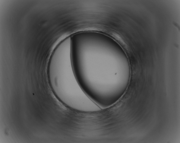 X0000096651181200802050927