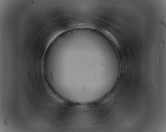 X0000096651182200802050927