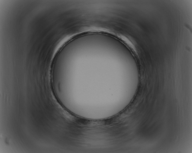 X0000096651183200802050927