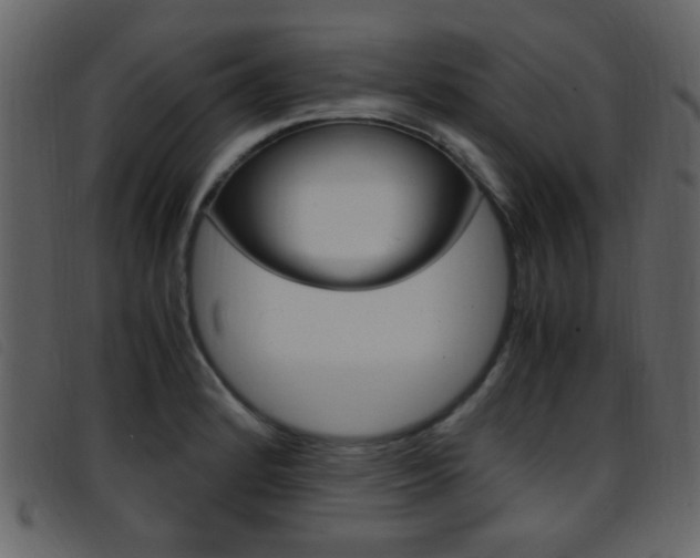 X0000096651184200802050927