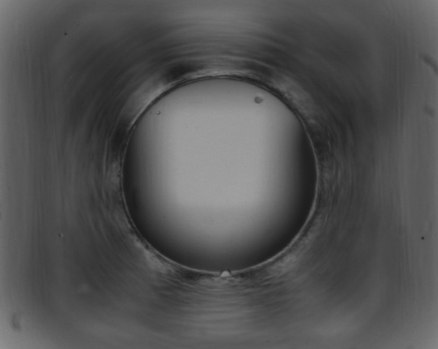 X0000096651185200802050927