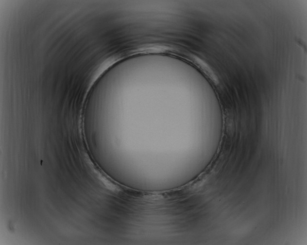 X0000096651186200802050927