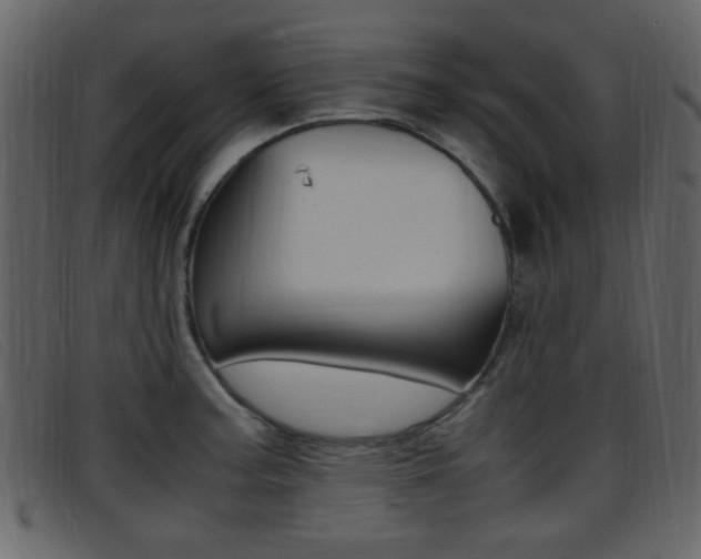 X0000096651187200802050927