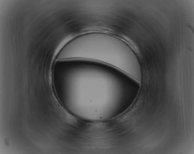 X0000096651188200802050927