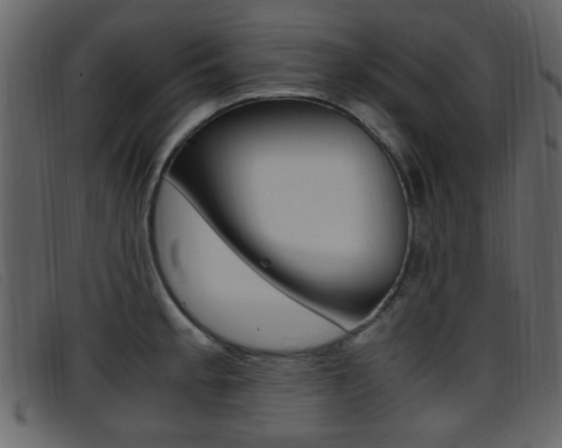 X0000096651189200802050927