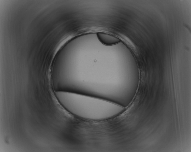 X0000096651190200802050927