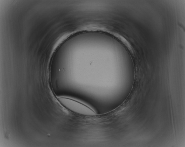 X0000096651191200802050927