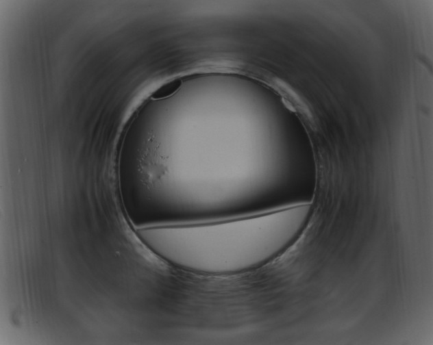 X0000096651192200802050927