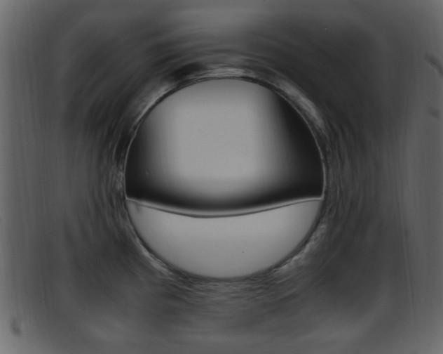X0000096651193200802050927