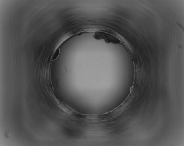 X0000096651194200802050927