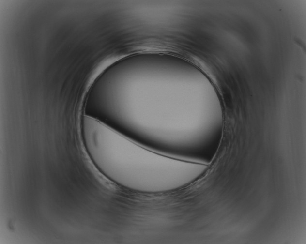 X0000096651195200802050927