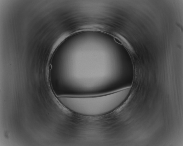 X0000096651196200802050927