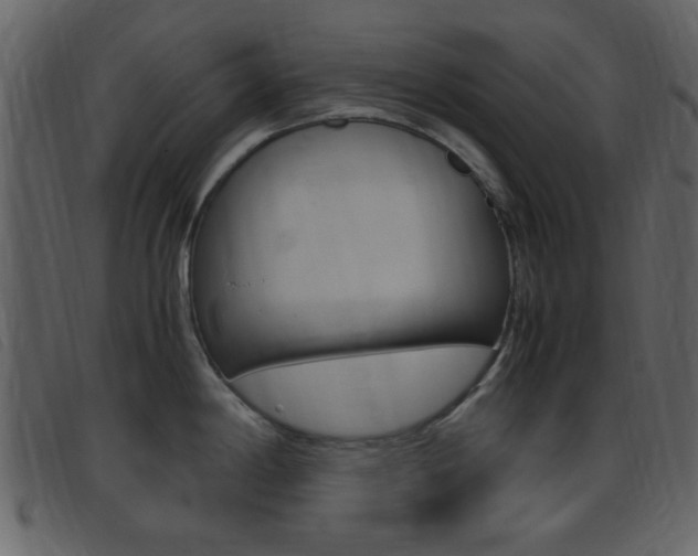 X0000096651198200802050927