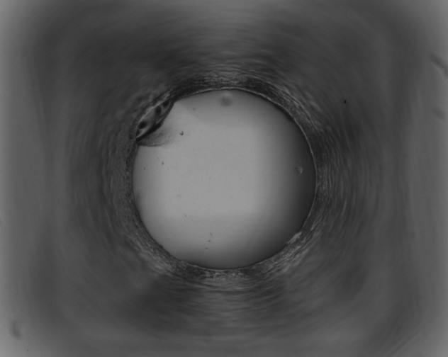 X0000096651201200802050926