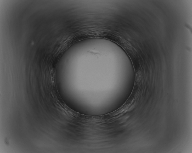 X0000096651202200802050926