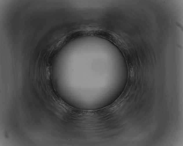 X0000096651204200802050926