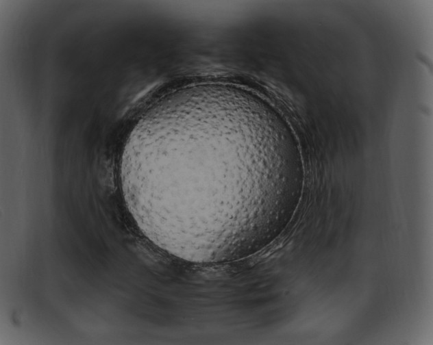 X0000096651205200802050926