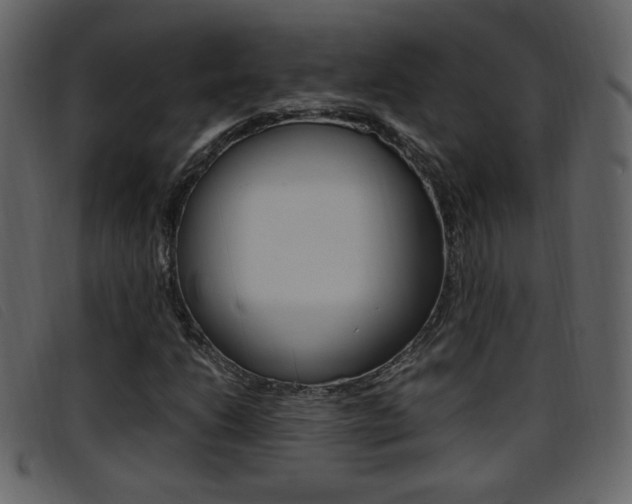 X0000096651206200802050926