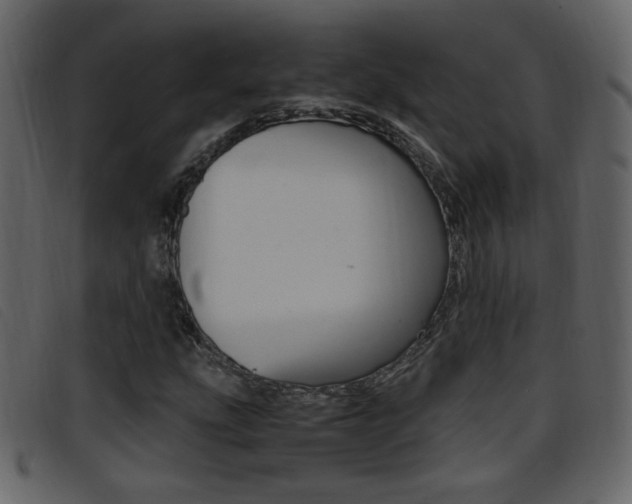 X0000096651207200802050926