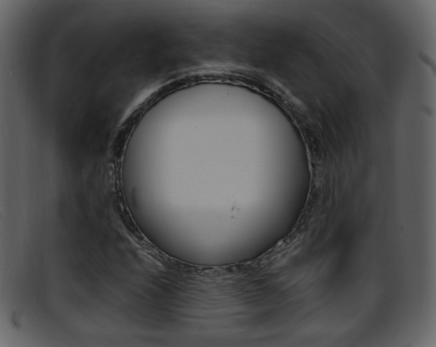 X0000096651208200802050926