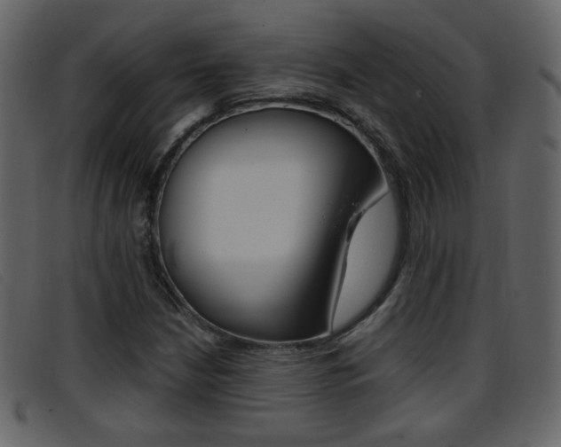 X0000096651210200802050926