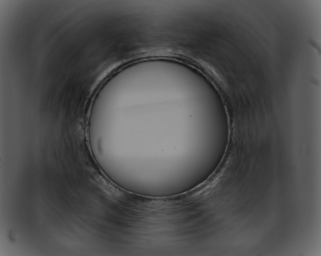 X0000096651212200802050926